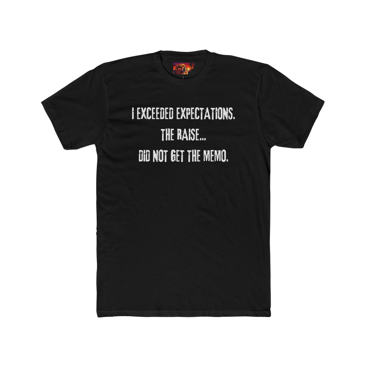I EXCEEDED EXPECTATIONS. THE RAISE... DID NOT GET THE MEMO.