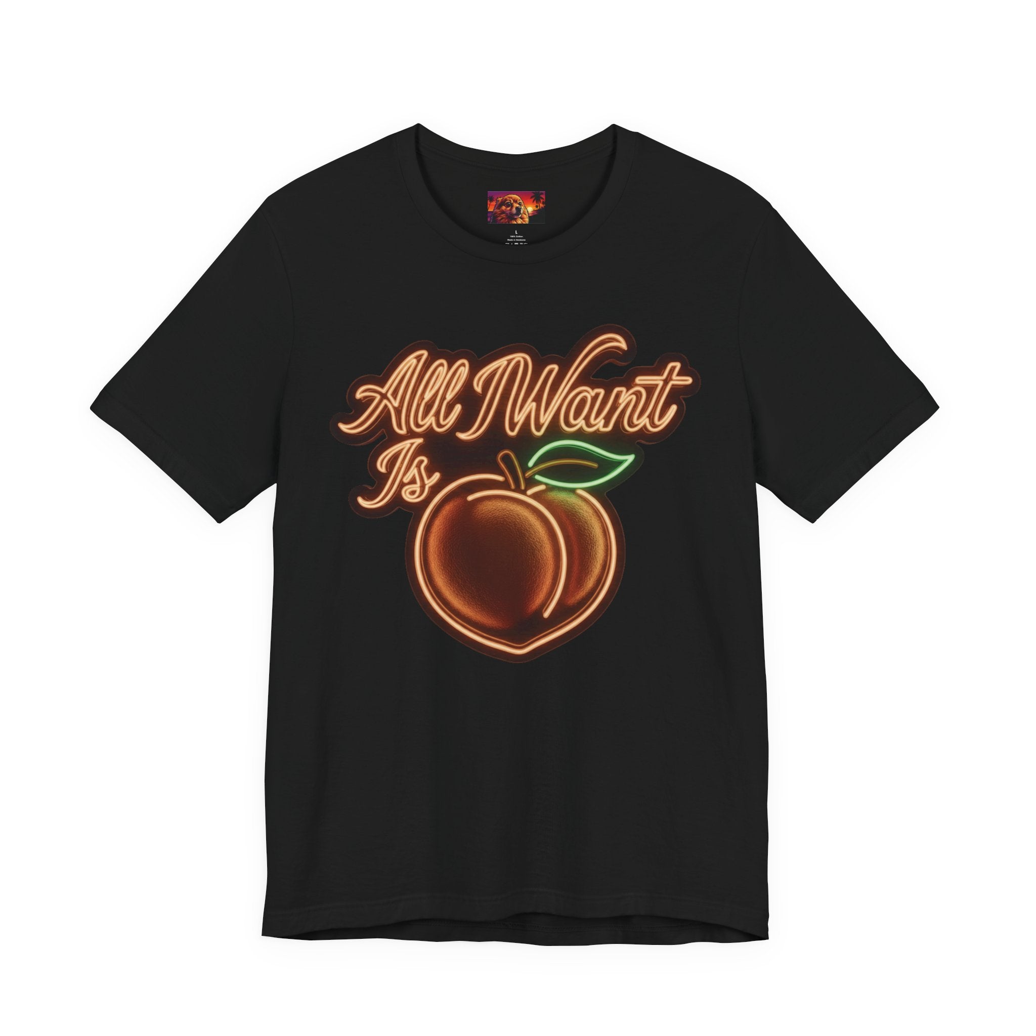 All I Want Is A.S.S — “Come to Me” Summon Tee Shirt