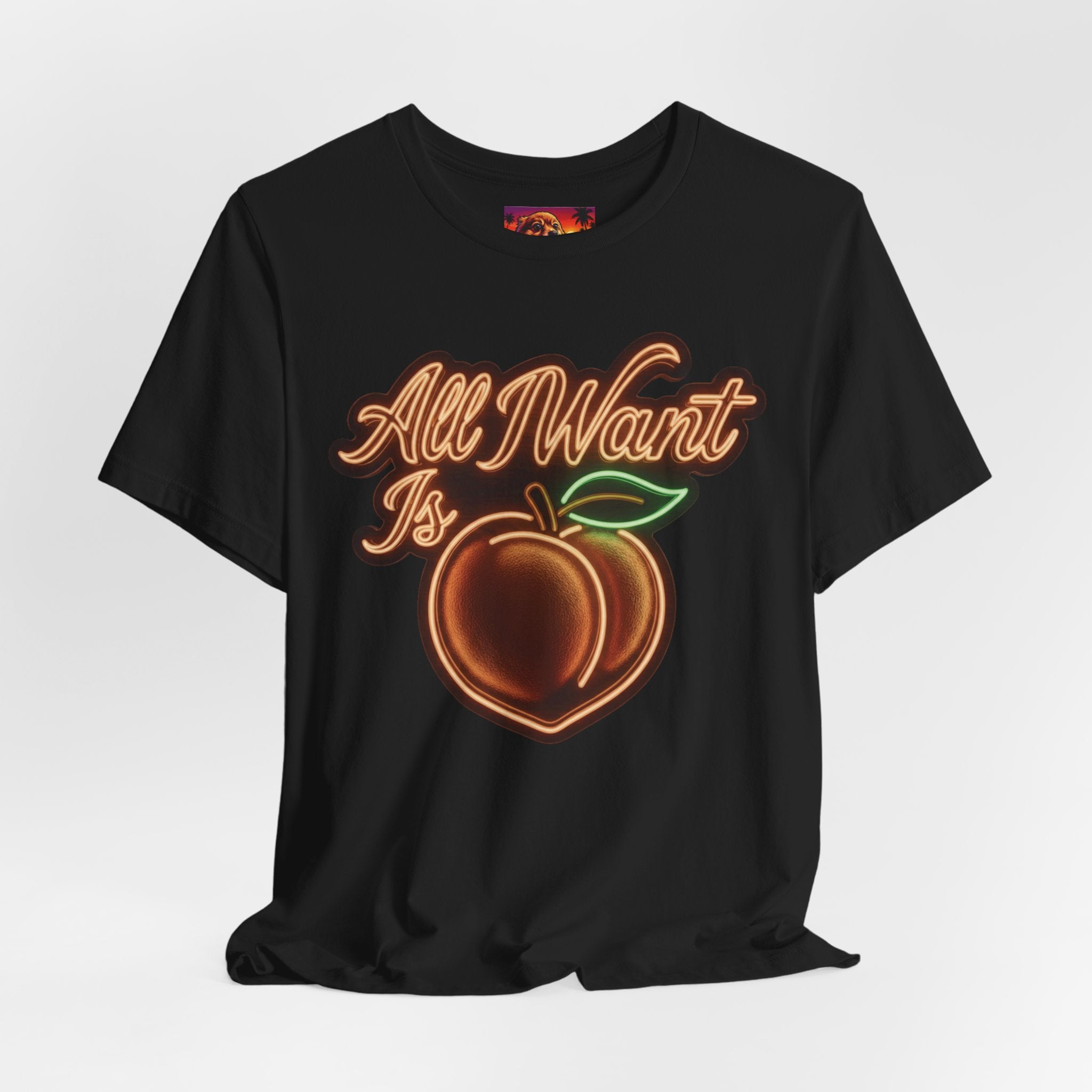 All I Want Is A.S.S — “Come to Me” Summon Tee Shirt